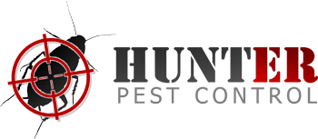 HUNTER - Pest Control - London, Birmingham, Coventry
